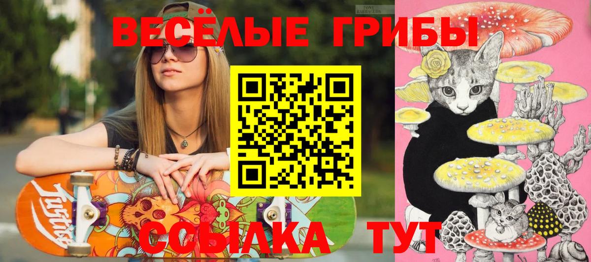 Галлюциногенные грибы Magic Shrooms Киселёвск