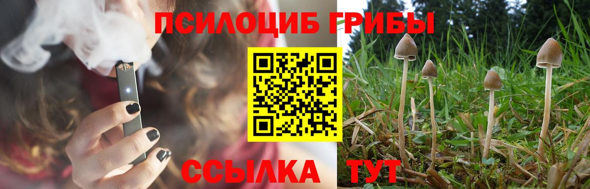 Галлюциногенные грибы Psilocybine cubensis  цены наркотик  Киселёвск  Вход с VPN 